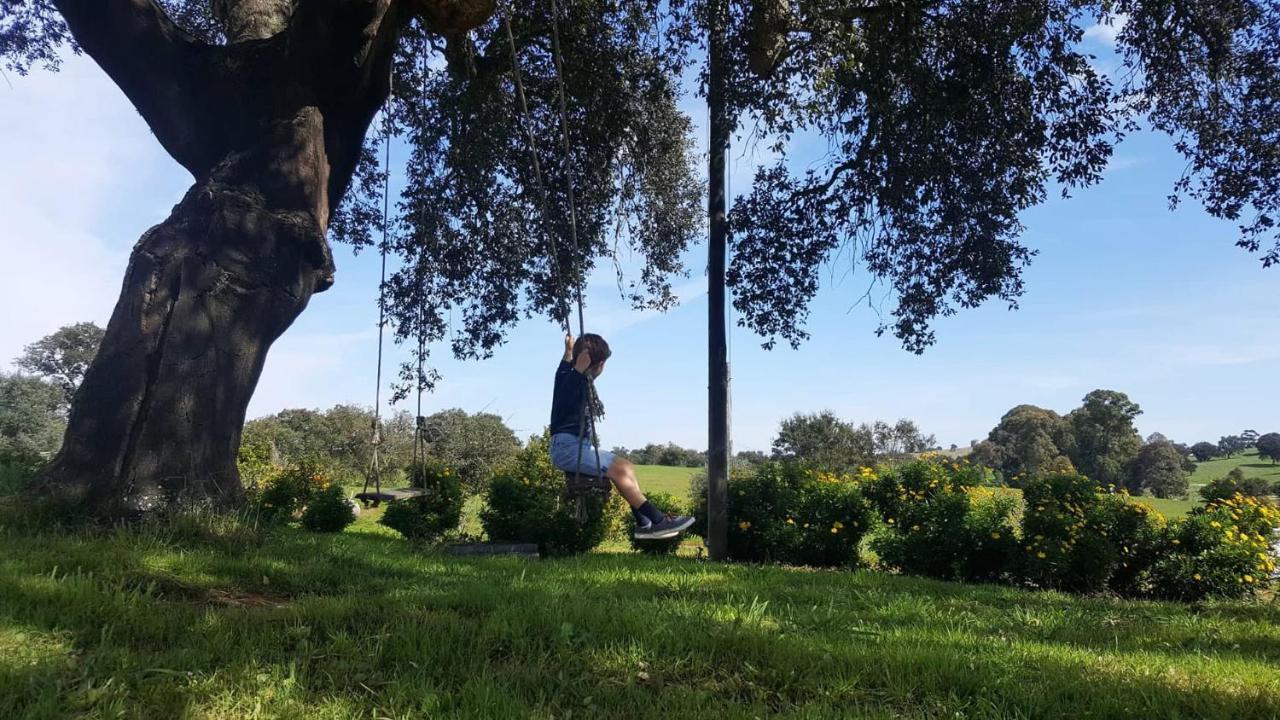 Herdade Reguenguinho Cercal do Alentejo Eksteriør billede