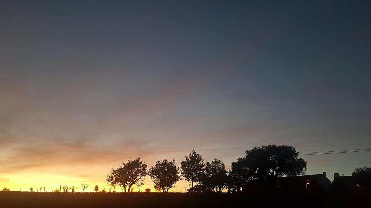 Herdade Reguenguinho Cercal do Alentejo Eksteriør billede